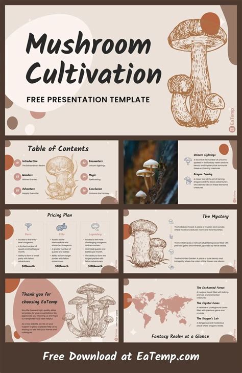 The cultivation of this mushroom has been practiced for a thousand years, with its cultivation originating in China during the Sung Dynasty (9601127). . Infrastructure for mushroom cultivation ppt
